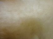synthetic leather image